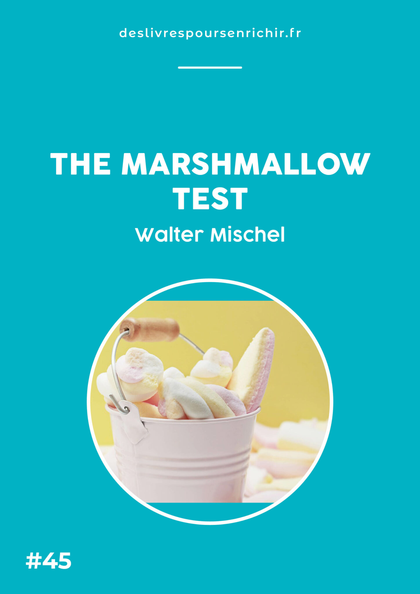 THE MARSHMALLOW TEST (synthèse PDF et audio) Des Livres pour s'enrichir